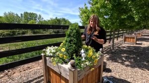 Planting 12 Huge Containers at My Parent’s House! 🥰🙌🌿 2024