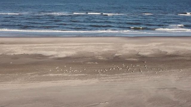 Baltic Sea: iPhone goes cinematic with FilMiC Pro in ProRes with anamorphic lense смотреть онлайн