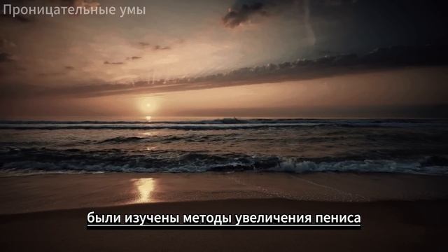 Психология человека Поведение