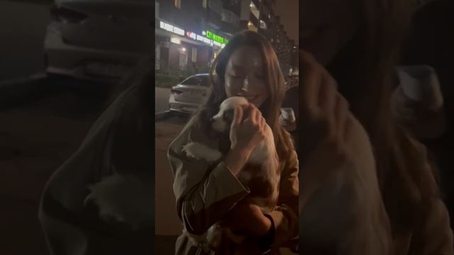 Щенок Кавалер Кинг Чарльз спаниель 🐶 из Питомника "ЦВЕТОК МЕЩЕРЫ" приехал в Москву из Рязани