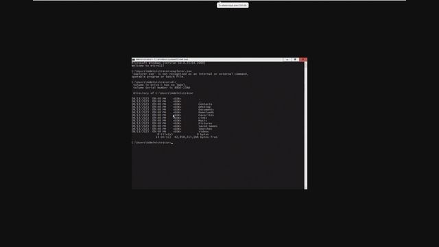 The SMALLEST Windows 11 ISO? - Micro11