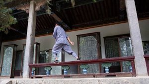 Мастер Ян Пэнчжоу, комплекс "Дракон", монастырь Шаолинь