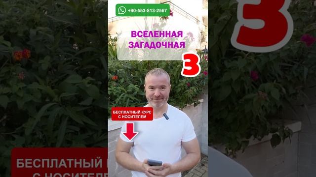 Тренажёр 109: Освойте английский язык за несколько уроков
