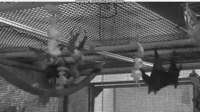 Oct 5 2017 So Scared K Peed her Pants смотреть онлайн