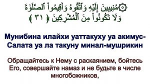 Сура 30 ар-Рум - Мишари Рашид