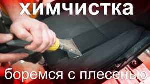 Химчистка Ford Focus, удаляем плесень