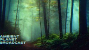 Sirius X - Ambient Planet Broadcast (Vol.7)