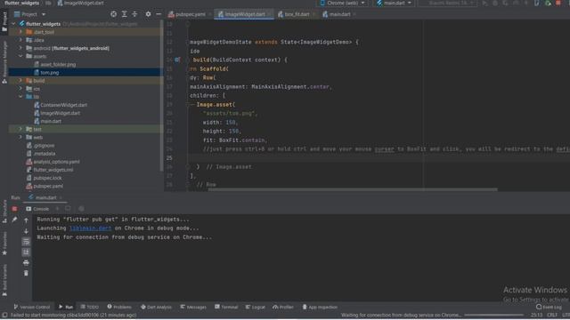 Flutter widgets - image.assets and image.network