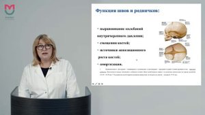 Лекция 6. Краниология