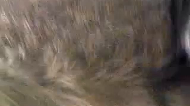 Сели
