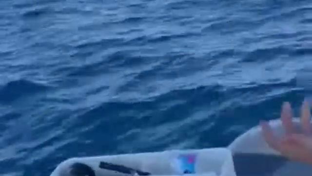 85lb mako shark Big Game Fishing Portugal смотреть онлайн