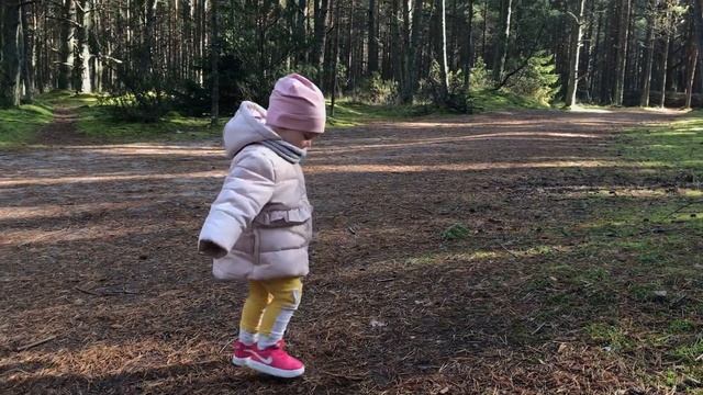 iPhone 7 cinematic video смотреть онлайн