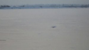 Ловим хариуса зимой на Реке Ангара