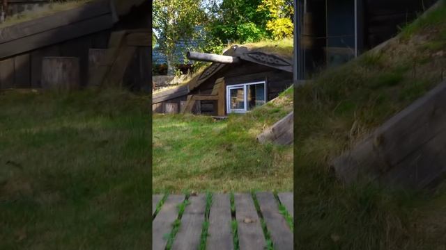 +7 968 760 3336 - Приятного отдыха#shorts #отдых #глэмпинг смотреть онлайн