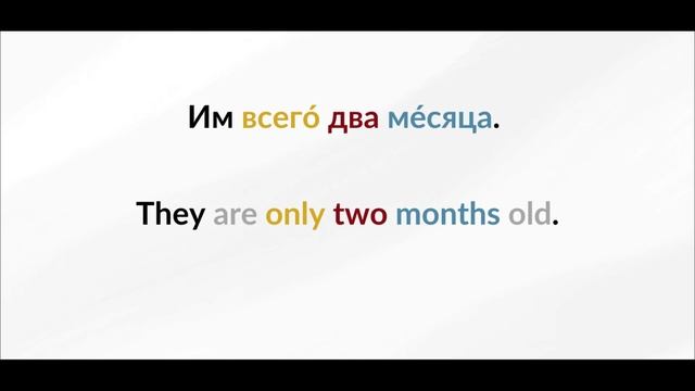 LEARN RUSSIAN - LESSON 86 (for beginners) смотреть онлайн
