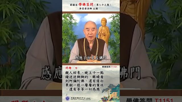 《学佛答问T1151》「我入佛门四个多月来，学习情况及不理解的事向你老人家会报请教。（当然学佛四个月，有问题自然是免不了的。）」 смотреть онлайн