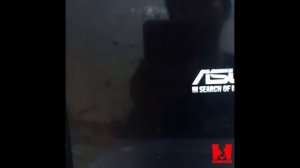 How to Install Windows on Asus UX ZenBook 14