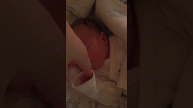 Малышу 1 день. Первое видео новорожденного. Роддом Одинцово. 30/12/2017 смотреть онлайн