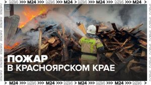 Спасатели локализовали огонь под Красноярском - Москва 24