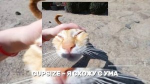 ВСЕ ПЕСНИ CUPSIZE, ПЛЕЙЛИСТ КАПСАЙЗ