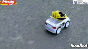 "Roadbot" (MTE1201-037)