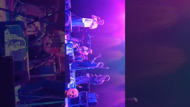 Mac Demarco Live  - Chamber of Reflection, Together, and stagedive смотреть онлайн