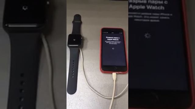 24 октября 2020 г. смотреть онлайн