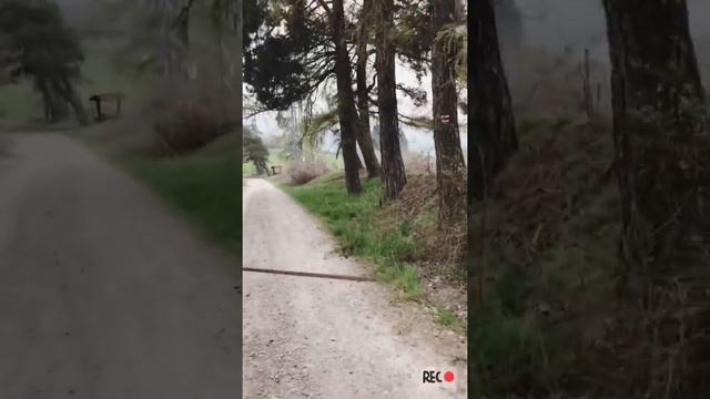 Чехія, Сушіце смотреть онлайн