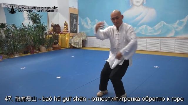 Тайцзи Ян 85 форм с названиями движений, Мастер Ши Янбин - видео для самостоятельного повторения