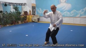 Тайцзи Ян 85 форм с названиями движений, Мастер Ши Янбин - видео для самостоятельного повторения