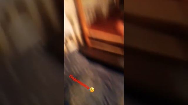Полители.