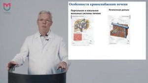 Лекция 11. Понятие коллатеральное кровообращение и сосудистый анастомоз, их классификация