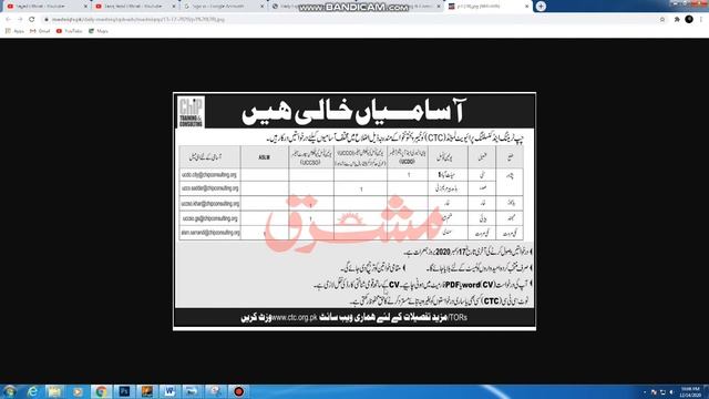 New l Latset Job's l CHIP Training & Consulting l 2020 смотреть онлайн