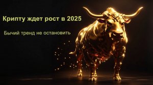 Ожидается ли бул ран в крипте в 2025