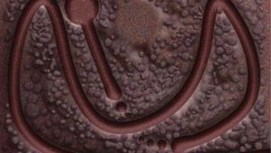 Zuma deluxe level map all