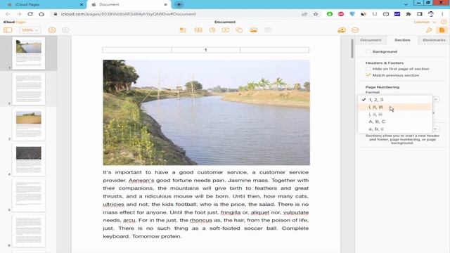 How to add Page number in Apple pages Online смотреть онлайн