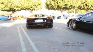 Black Lamborghini Aventador Start Up & Burn Out LOUD