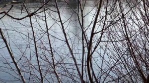 HDR vs SDR - 4K 60 fps SDR