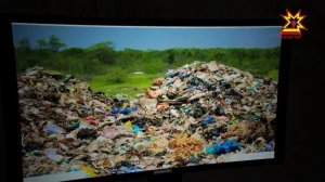 Социальный ролик - Экология