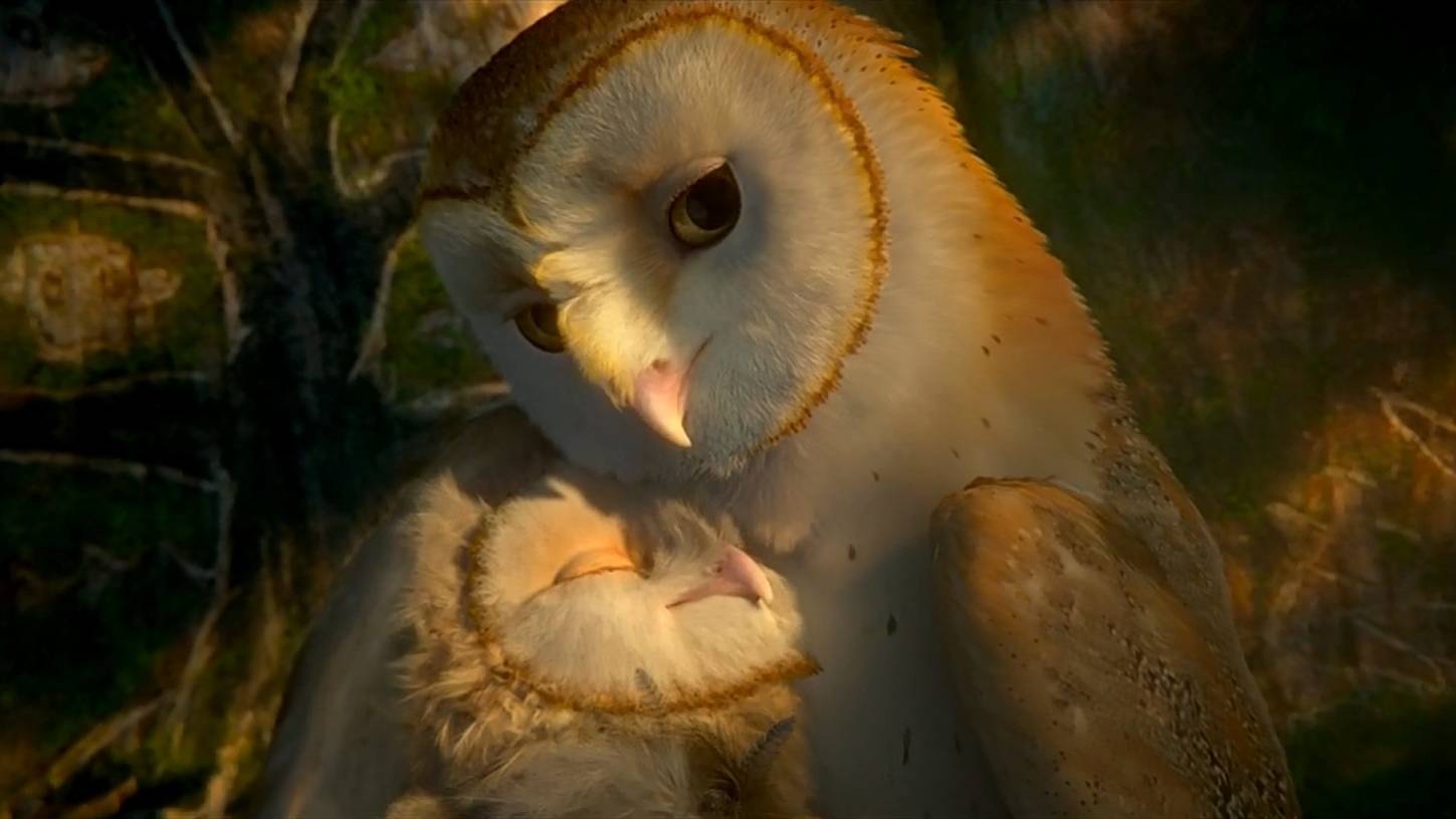 Мультфильм про СОВУШЕК  ⎢ Легенды ночных стражей смотреть онлайн