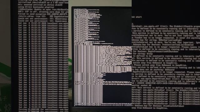 The code running process during MacOS 10.15.3 installation.