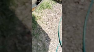 Подъемный тент - крышка на легковой прицеп