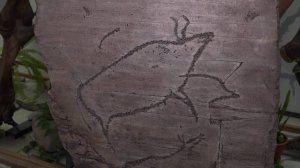 Древнейшие петроглифы Минусинской котловины увидят новосибирцы