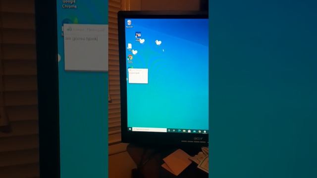 Desktop goose смотреть онлайн
