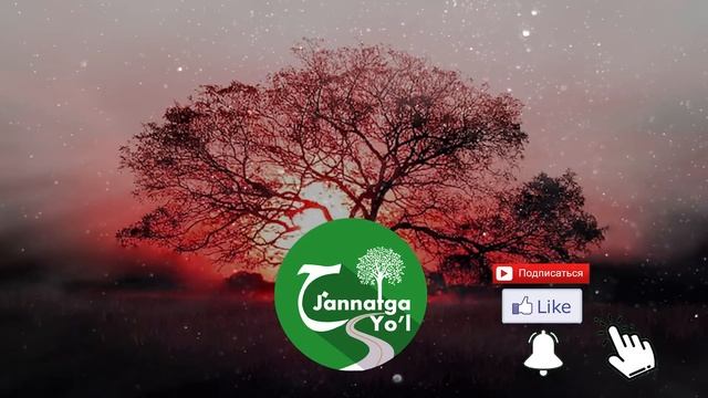 Абдуллох Домла 2023- Барака хақида эшитинг- Abdulloh Domla 2023namoz istigfor zikr