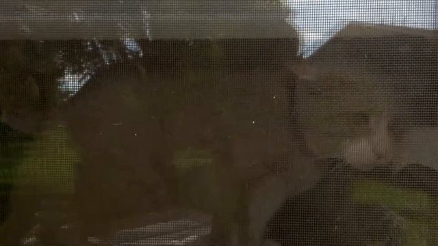 Bruce Has Encountered A Fatal Error With Windows смотреть онлайн