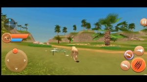 Offline Lion 🦁 Simulator Game||Lion Games Animal Simulator 3D,, Android gameplay