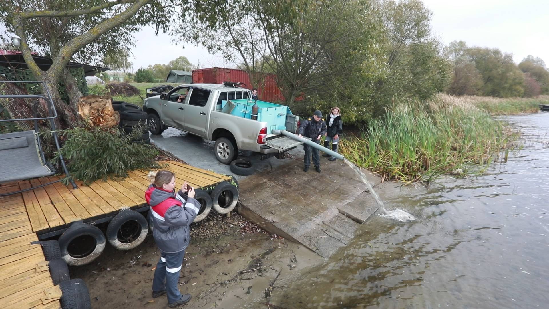 При поддержке Михайловского ГОКа в Копёнское водохранилище отправилась тысяча молодых особей сазана