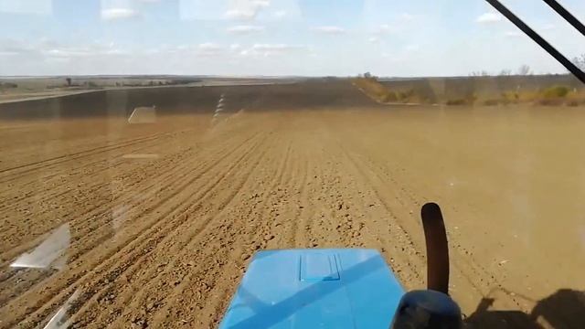 Посевная пшеницы 2020