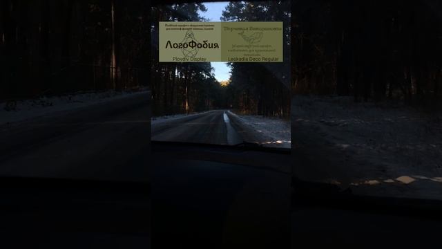 Делюсь с вами уникальными шрифтами для вашего творчества! 🌟